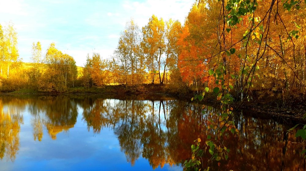 Photograph by Борис Каширин