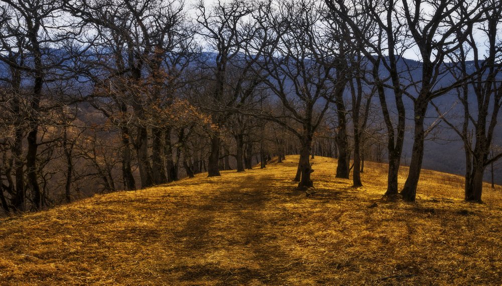 Горная аллея