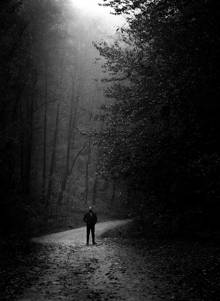 Photograph by Hamid Rastin