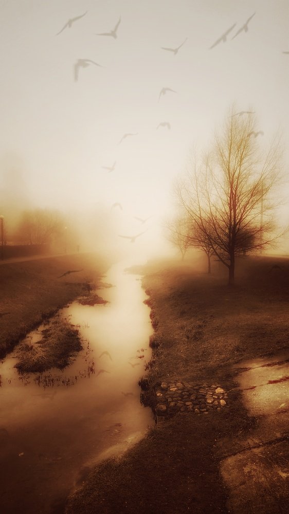 Дважды не войти