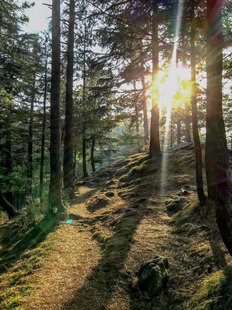 Photograph by Umair Bhopal