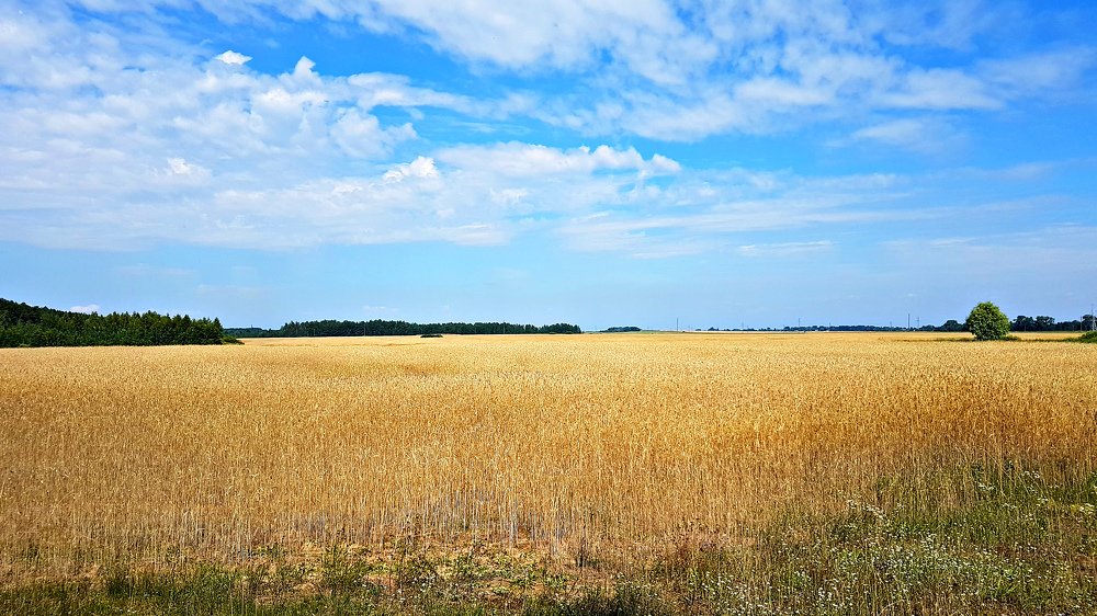 Photograph by Дмитрий Коршак