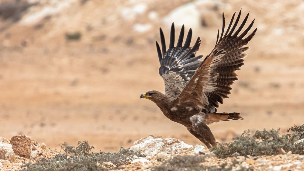 Photograph by Maitham Al Lawati