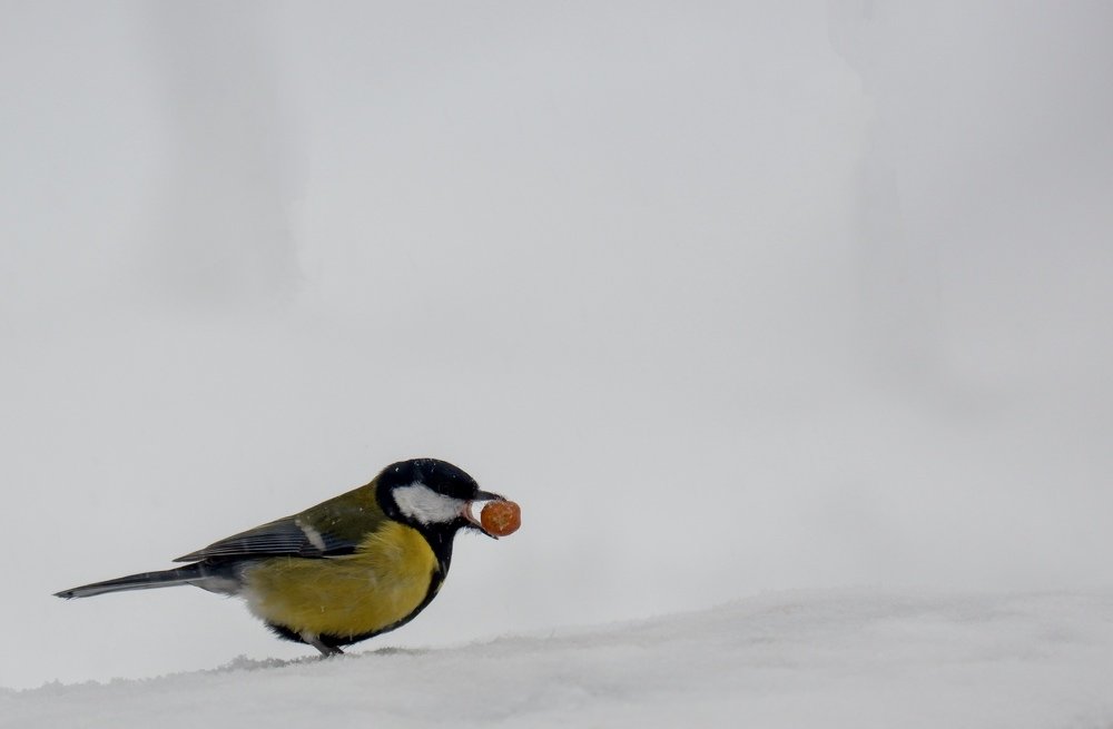 Photograph by Rustam Bekmansurov