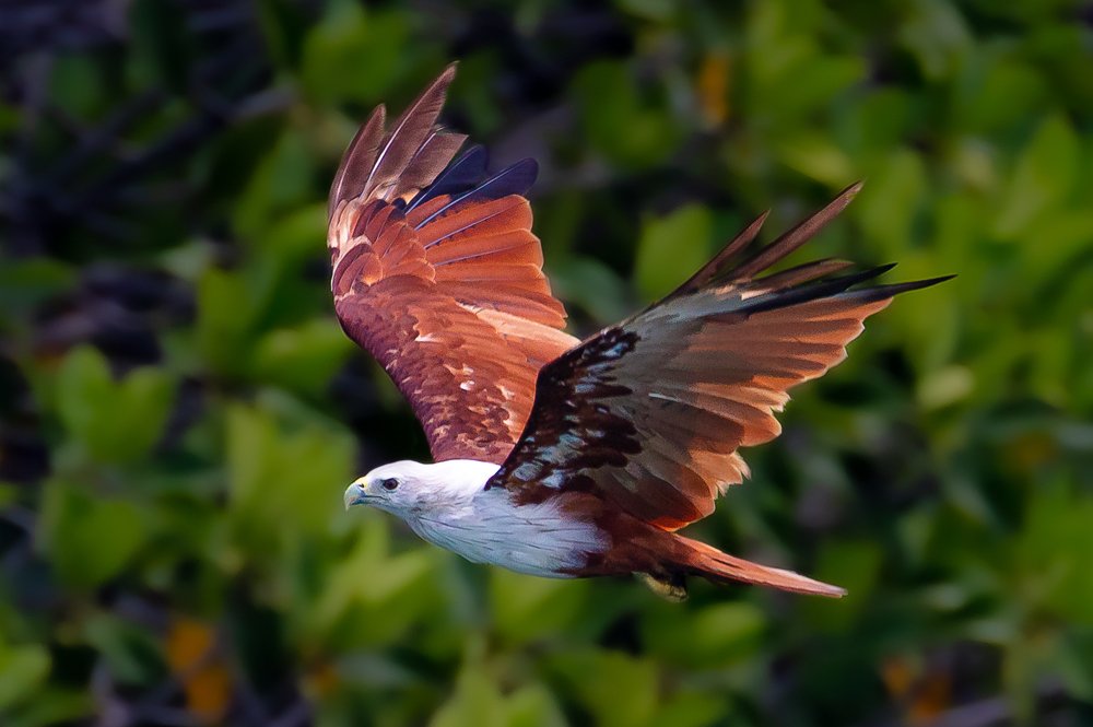 Photograph by Maitham Al Lawati