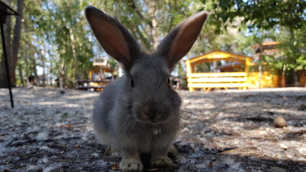 Photograph by Алексей Миронов