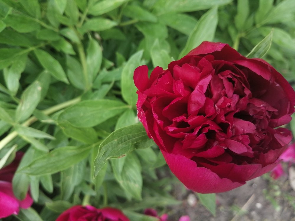 Photograph by Анжелика Короткова