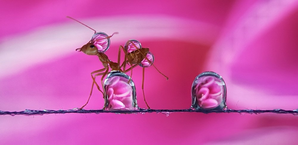 Фотография автора Analiza Daran De Guzman