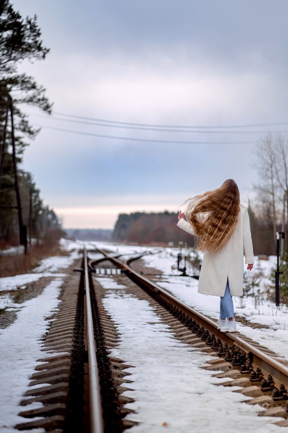 Photo #4487709