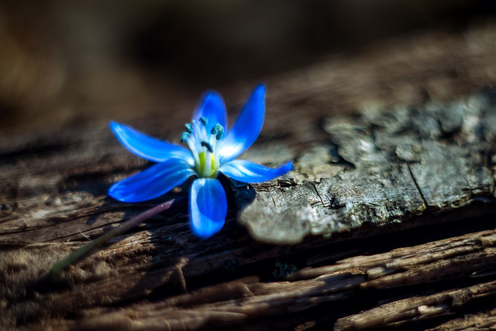 Photograph by Лариса Федорова