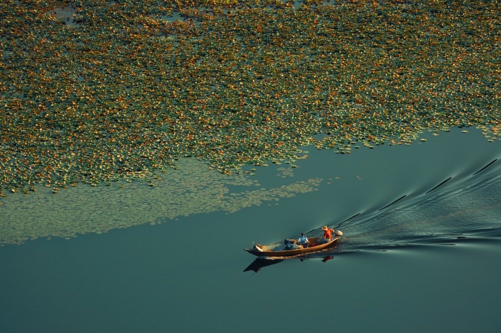 Photograph by Сергей Коршунов