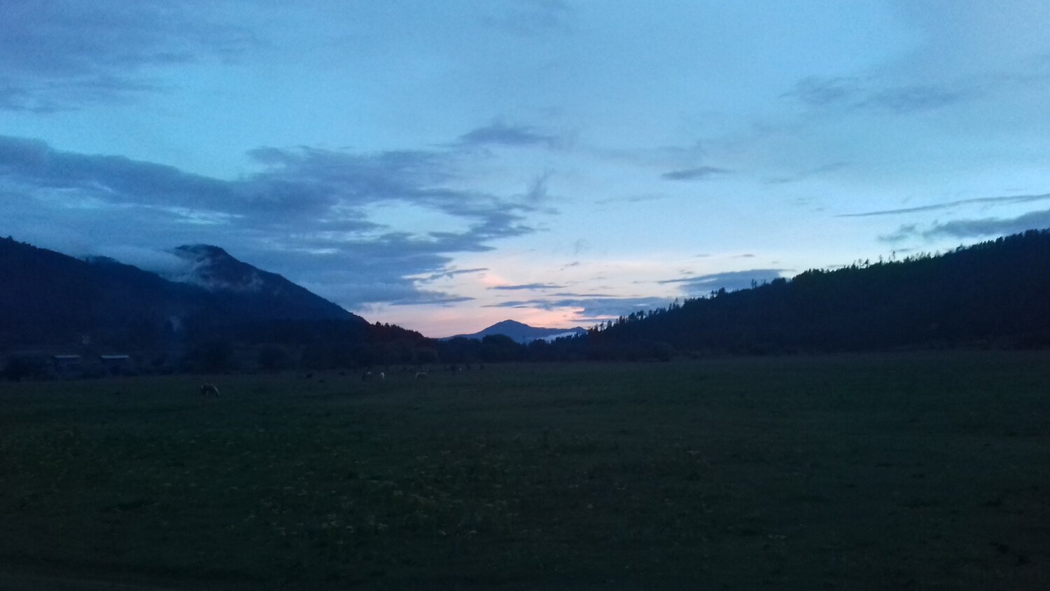 Photo #4487966