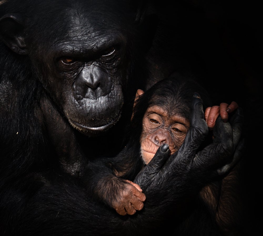 Photograph by MOHAMED HUSSAIN YOUNIS