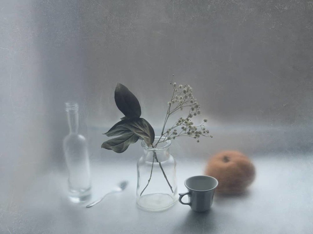 Фотография автора Елена Лысенко