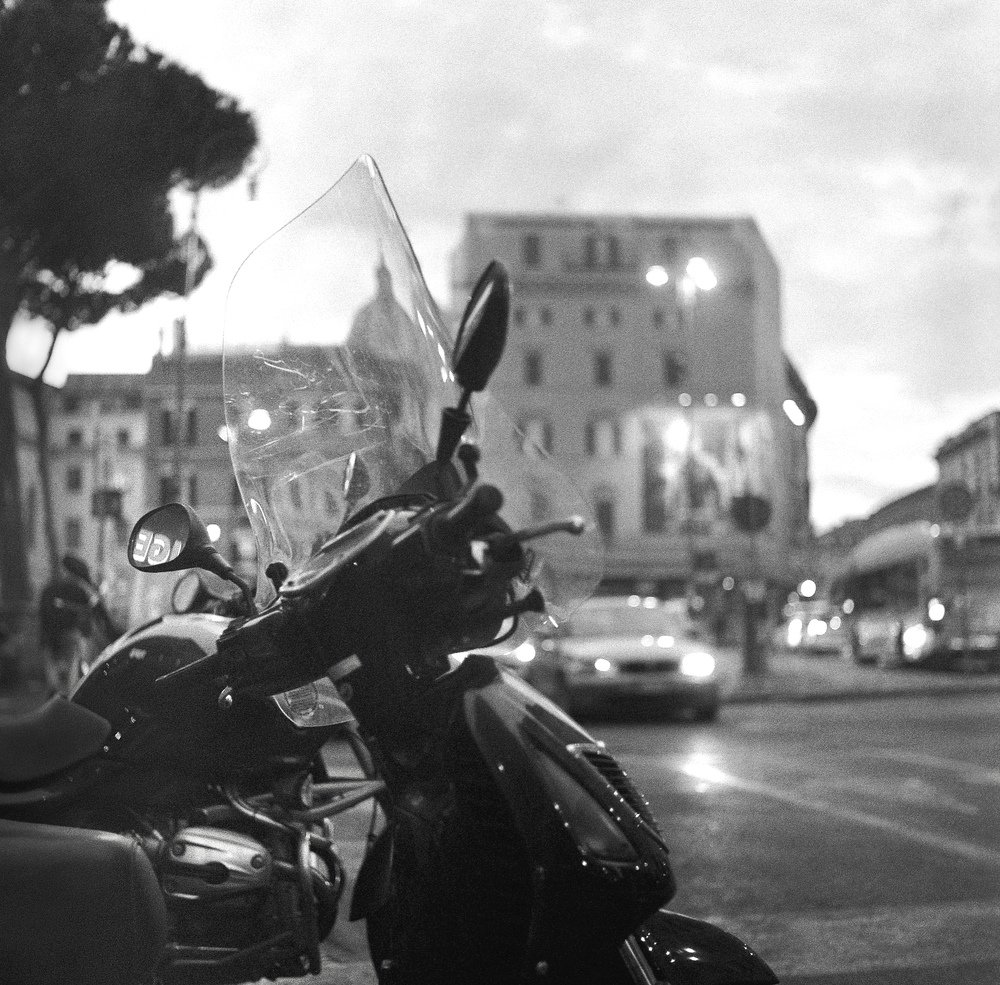 Photograph by Dmitriy Plotnikov