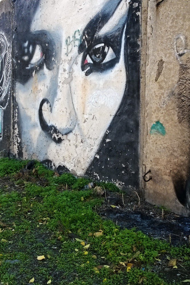 Photograph by Ольга Шевцова