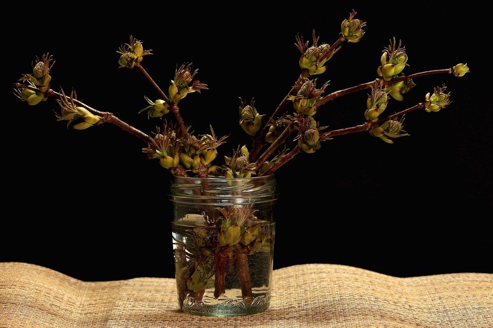 Фотография автора Геннадий Титов