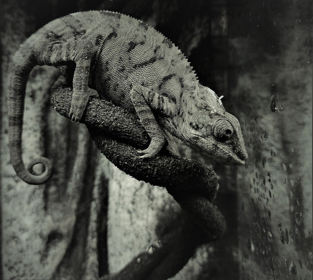 Photograph by Сергей Лобозов