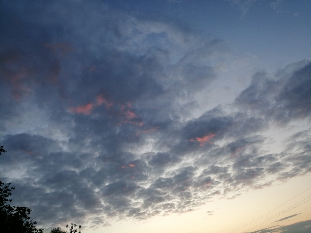 Летний вечер