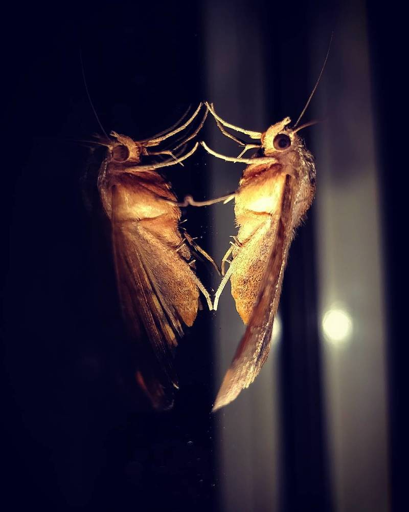 Photograph by Mahesh Kadam