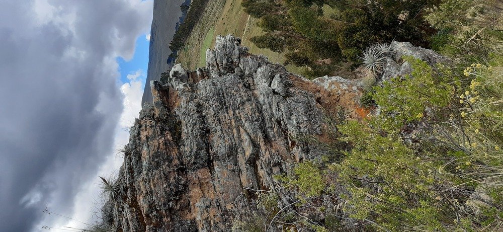 Paisaje