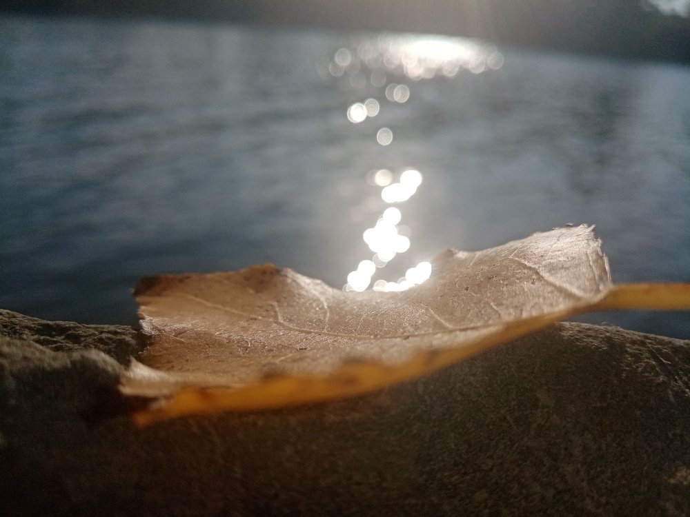 Photo #4488326