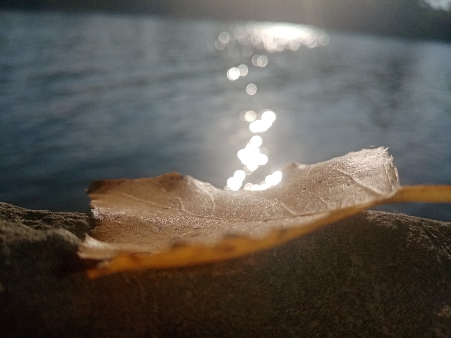 Photo #4488326
