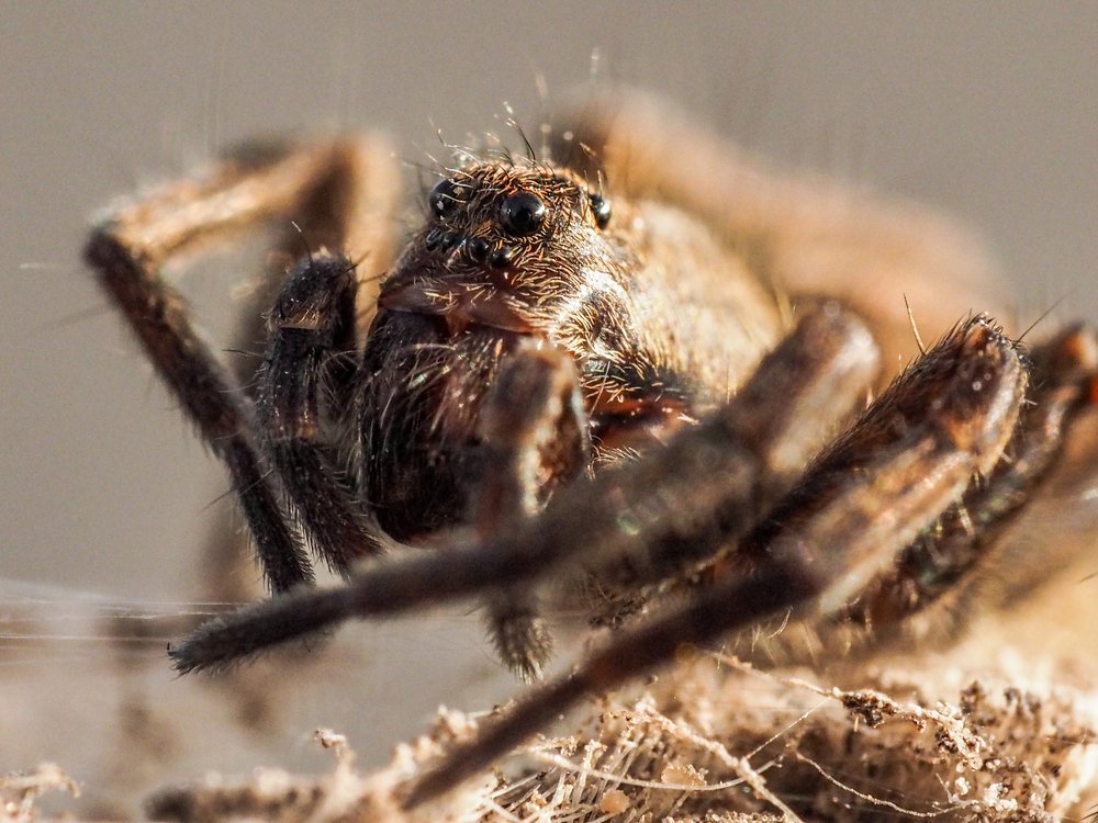 Photograph by Ольга Линк