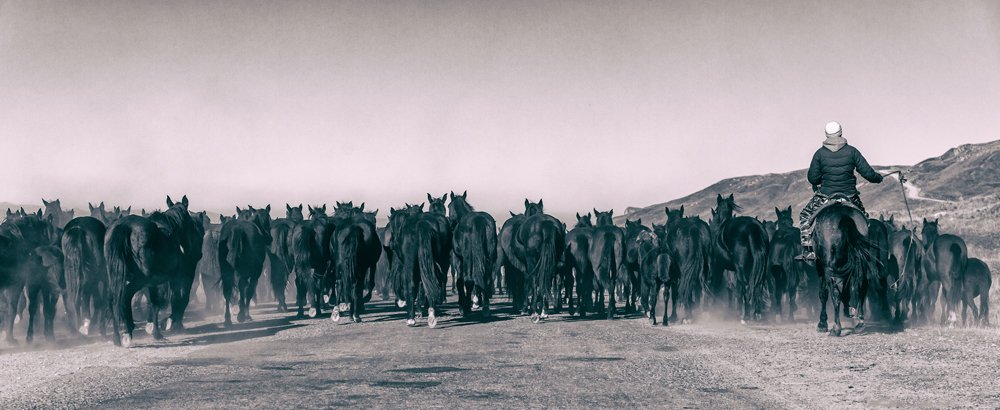 От топота копыт...