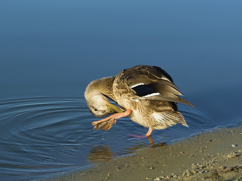 Водные процедуры