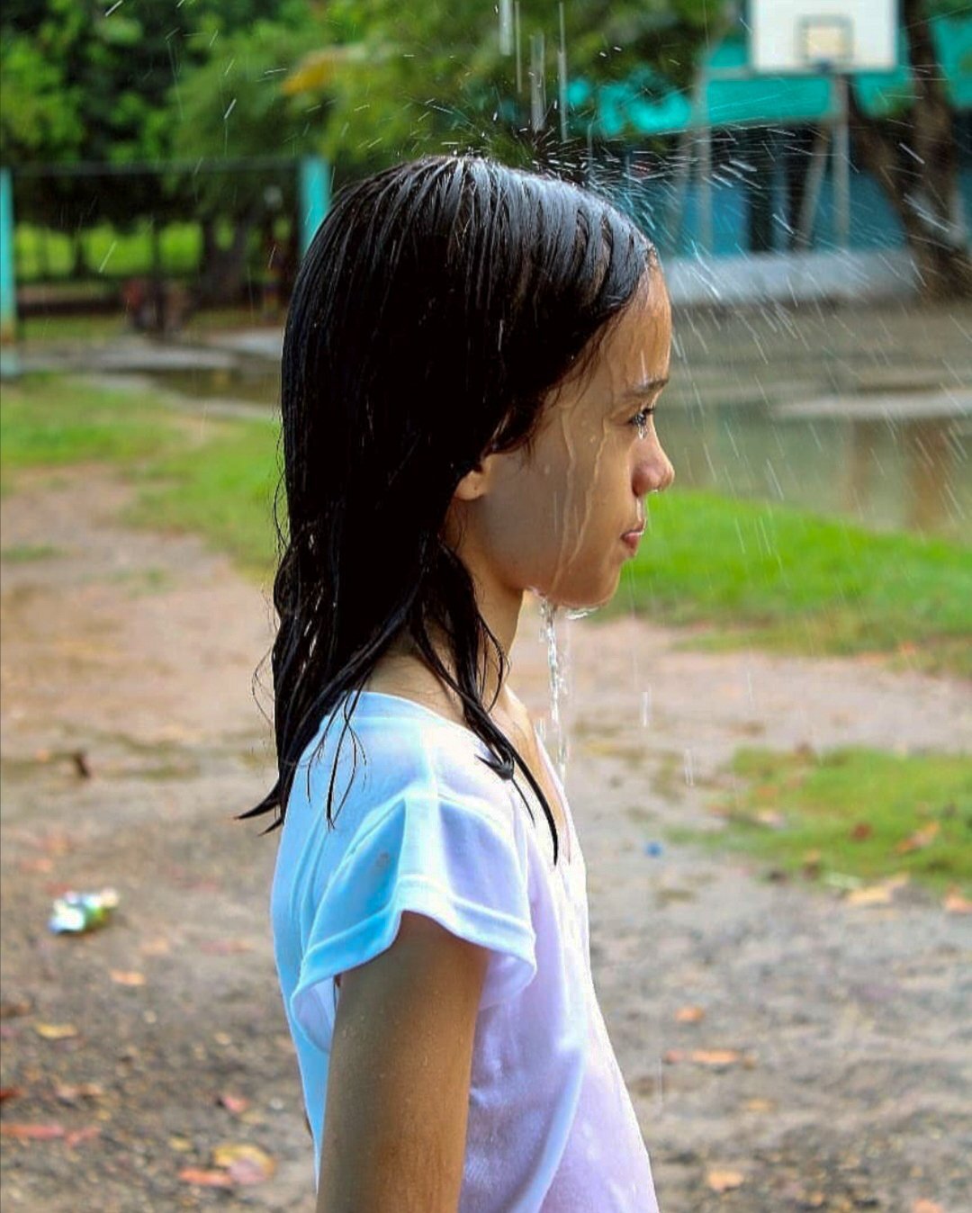 Photo #4488458