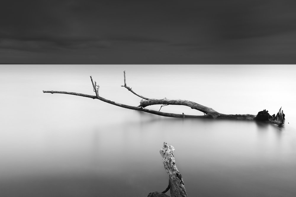 Фотография автора soo mui loh