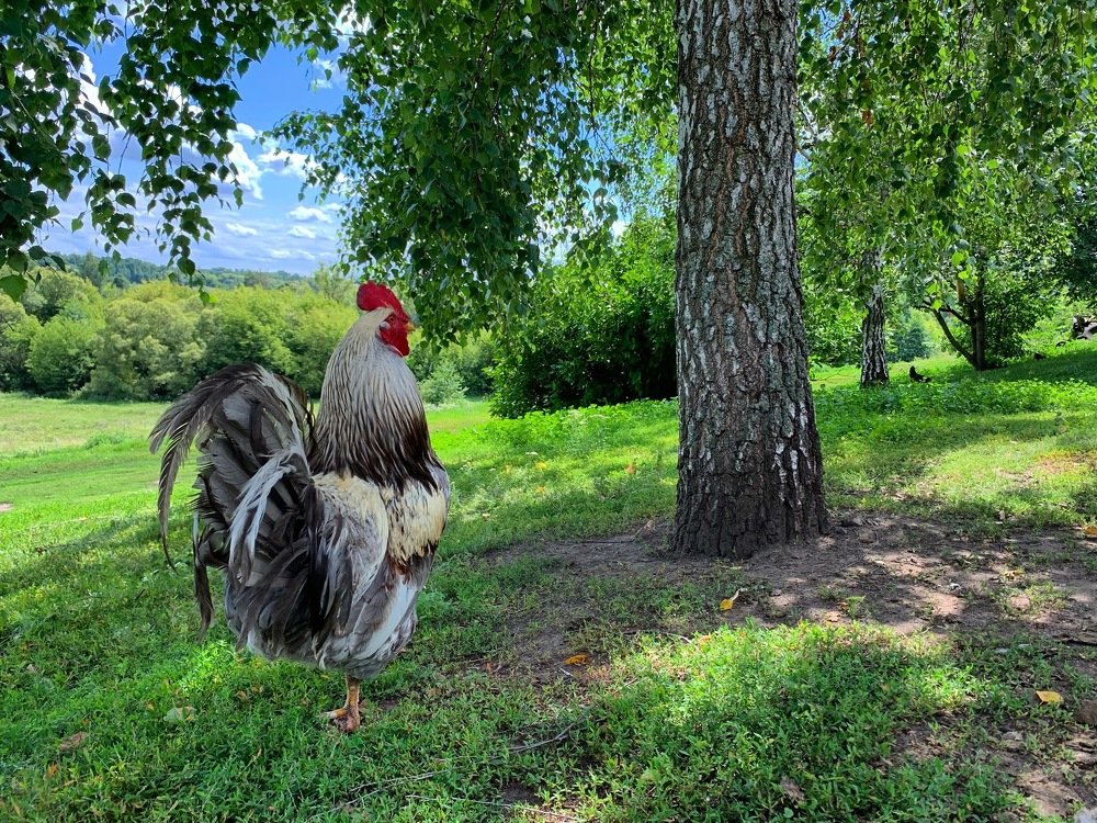 Photograph by Natasha Efanova