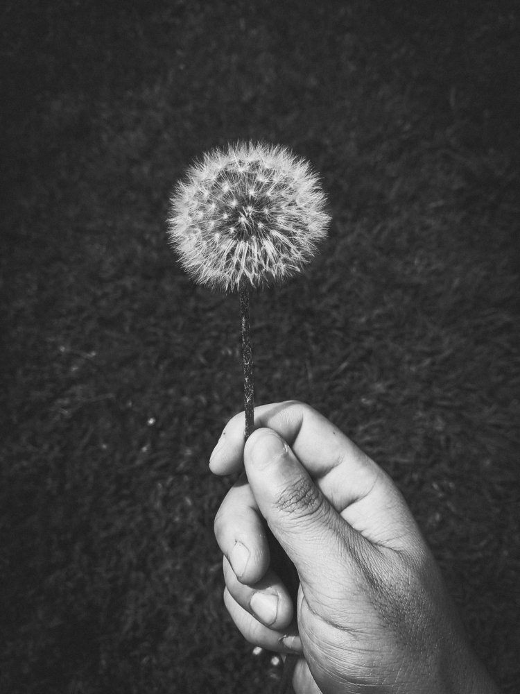 Photograph by Rodrigo Quadros da Silva