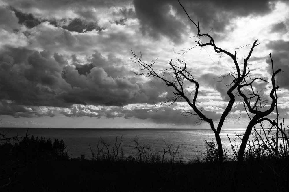 Photograph by Олег Башкуров