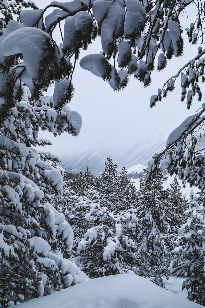 Photograph by Светлана Воскресенская