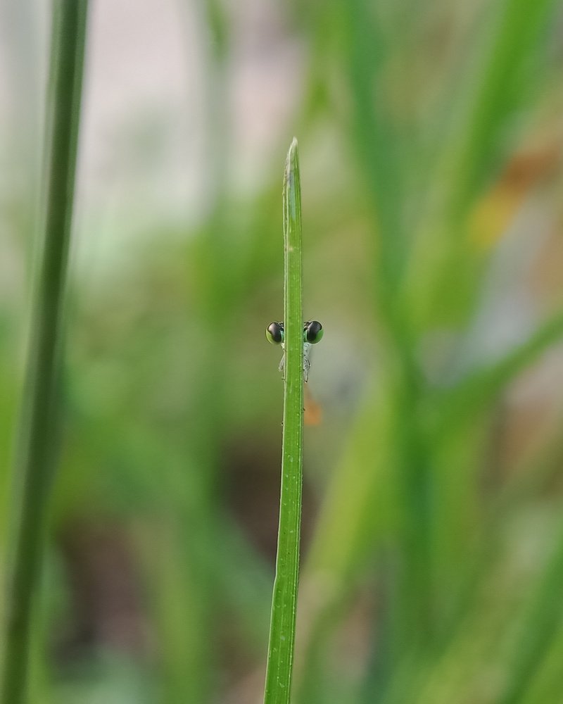 Photograph by Tomas Hadi