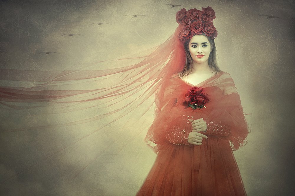 Photograph by ADELA LIA RUSU