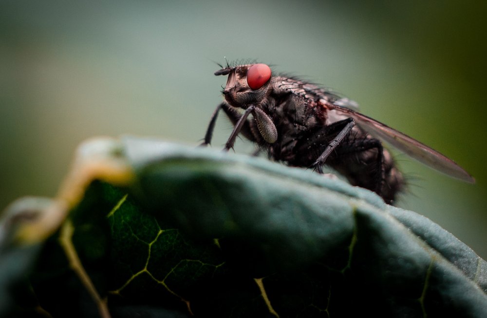 Фотография автора Дмитрий Гусалов