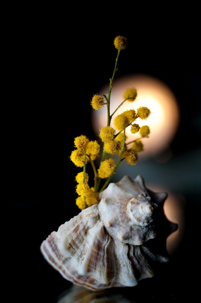 Фотография автора Дмитрий Гусалов