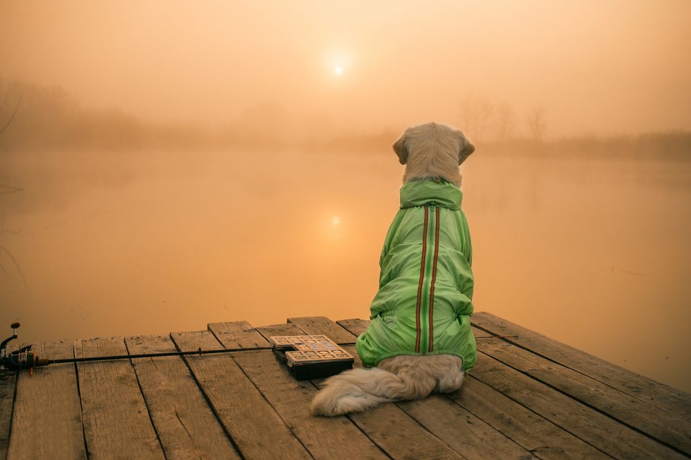 Photograph by Анастасия Мельник