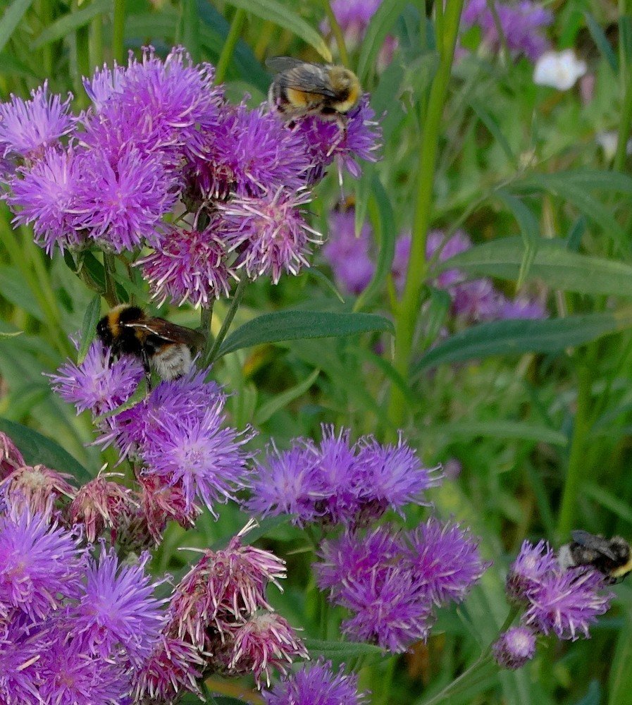 Photograph by Александр Подгорный