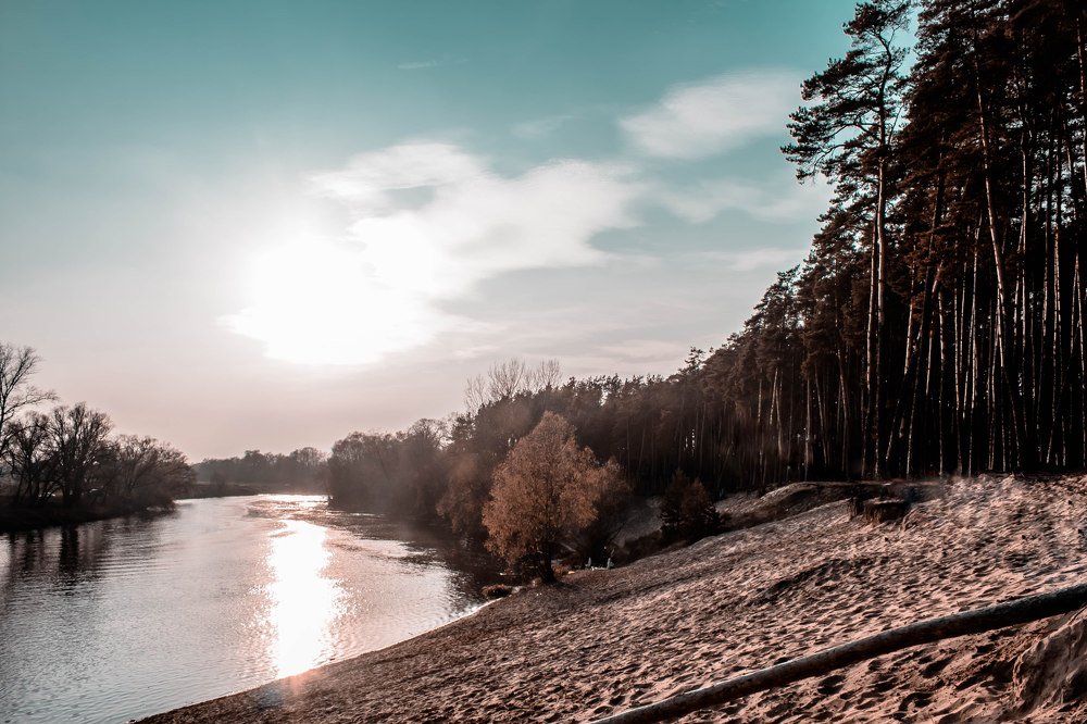 Photograph by Вероника Новикова