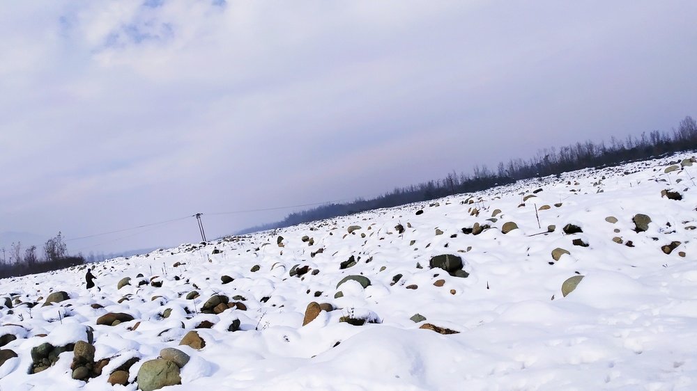 Photograph by Firdous Parray