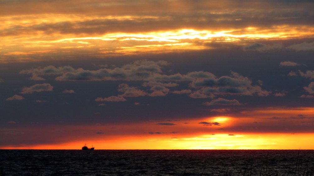 Фотография автора Ольга Завадилика