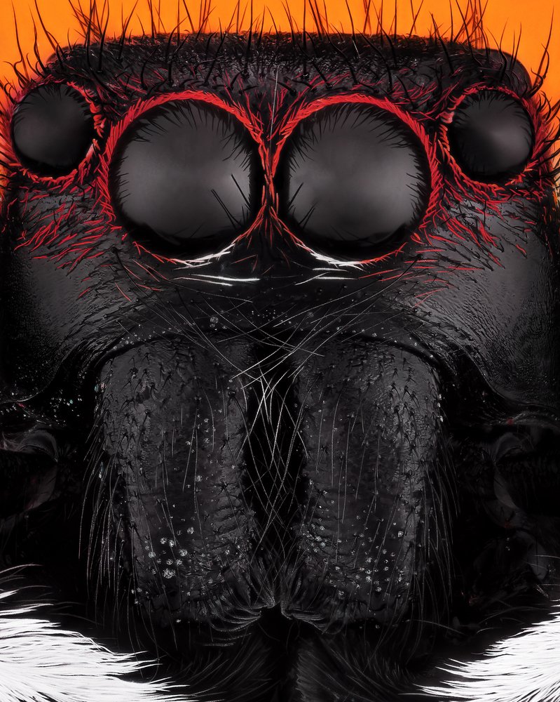 Photograph by Jefferson Allan