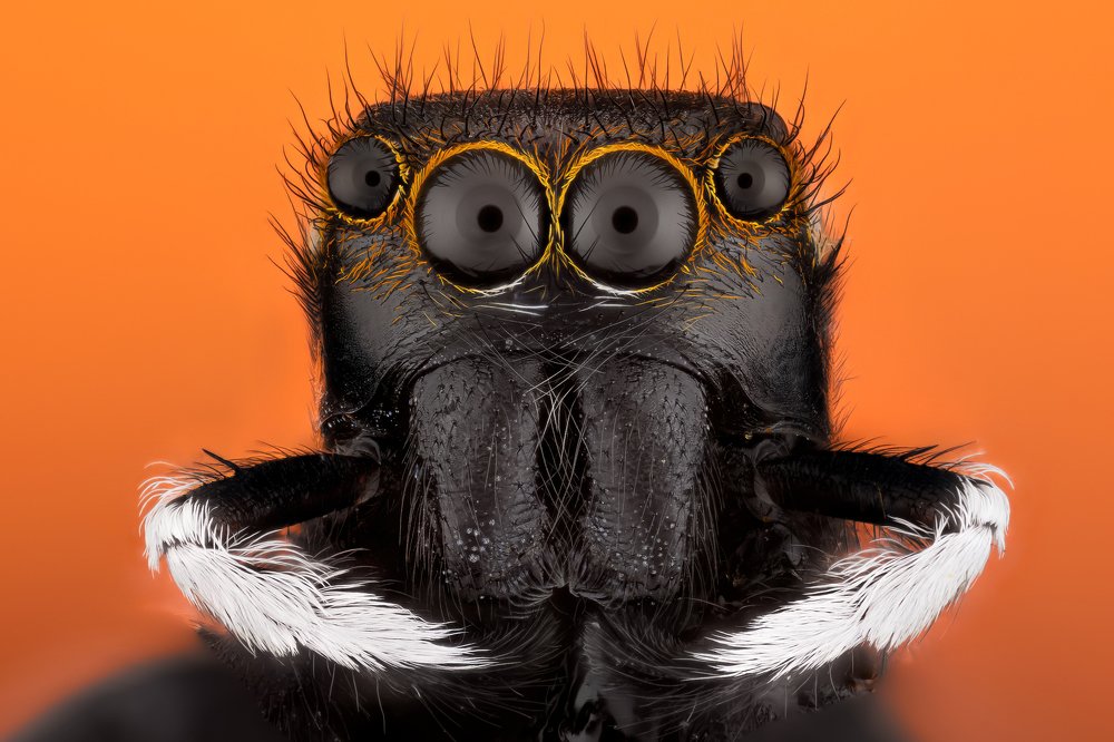 Photograph by Jefferson Allan