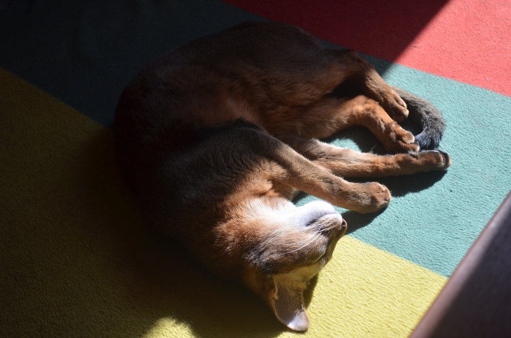 Photograph by Андрей Постников