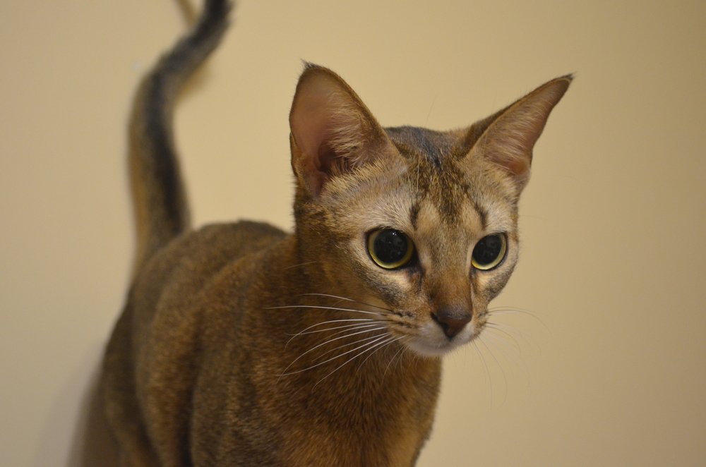 Photograph by Андрей Постников