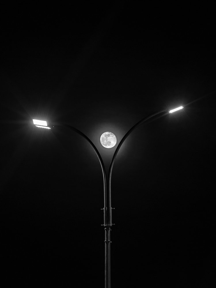 Photograph by Игорь Мурзенко